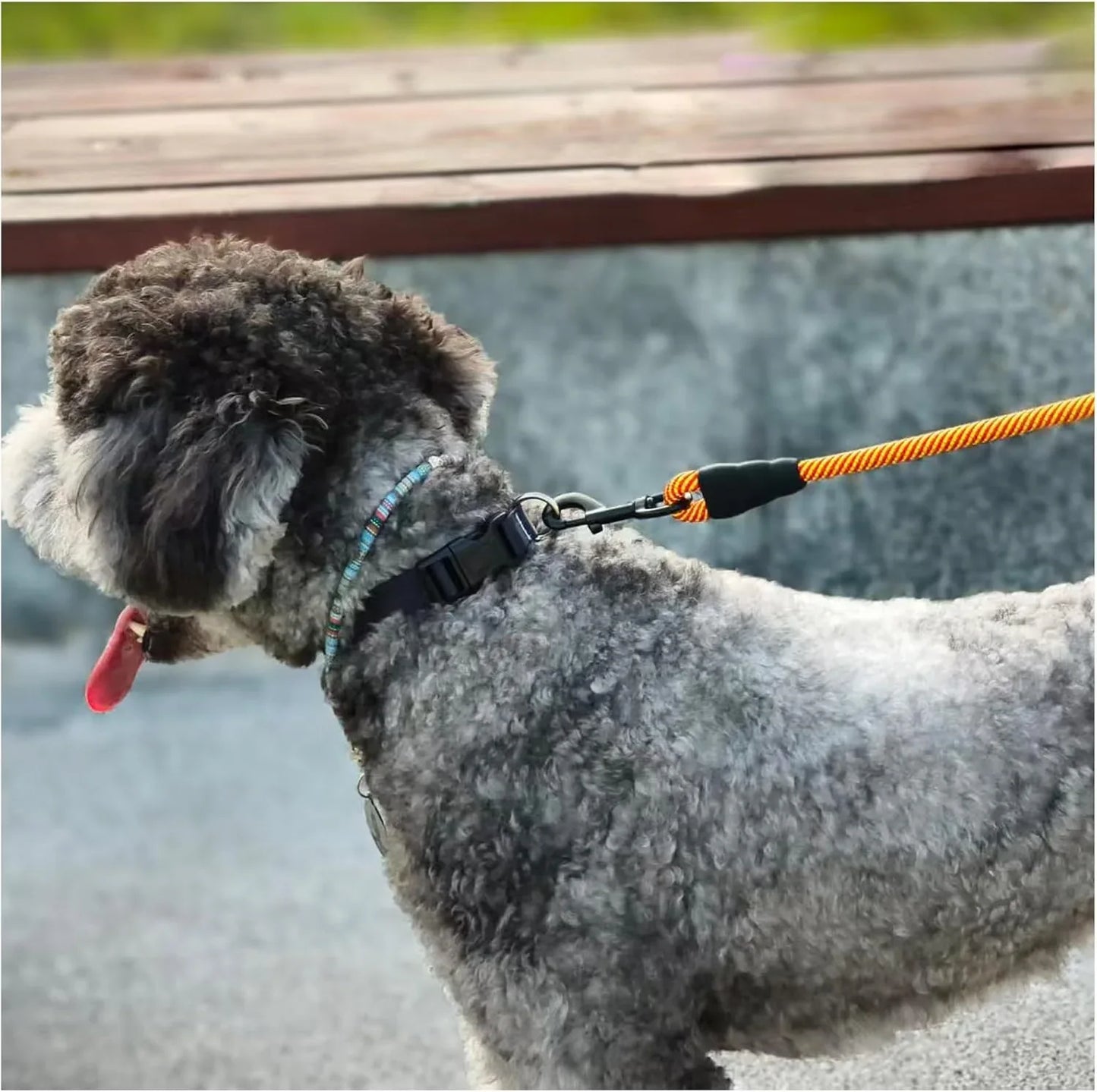 Heavy Duty Rope Dog Leash, 6 FT Nylon Pet Leash, Soft Padded Handle Thick Lead Leashes for Large Medium Dogs (Orange, 1/2" X 6Ft)