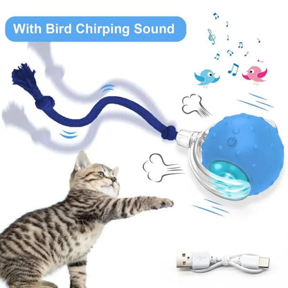 SPOVEN Cat&Dog Toy - Interactive USB Rechargeable Ball Toy on Rug , Anti-Depression Fun Gift for Cats & Dogs