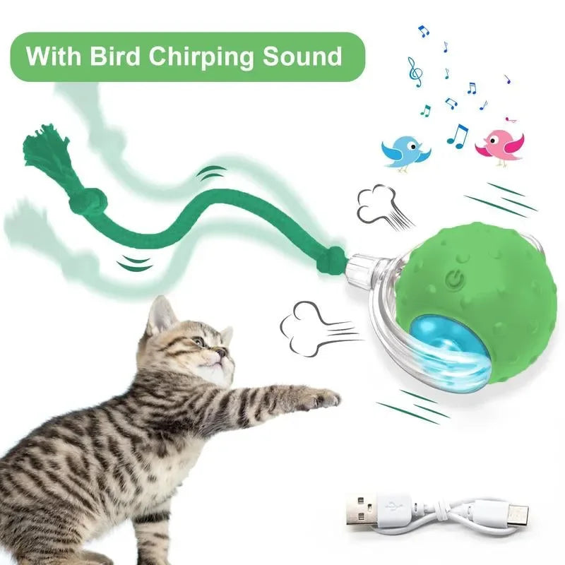 SPOVEN Cat&Dog Toy - Interactive USB Rechargeable Ball Toy on Rug , Anti-Depression Fun Gift for Cats & Dogs