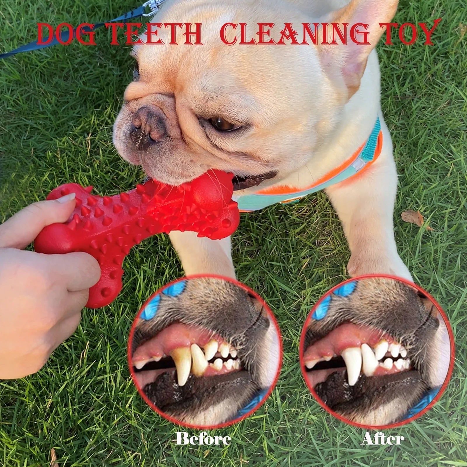 Dog Chew Toys for Aggressive Chewers Large Breed,Rubber Dog Bones