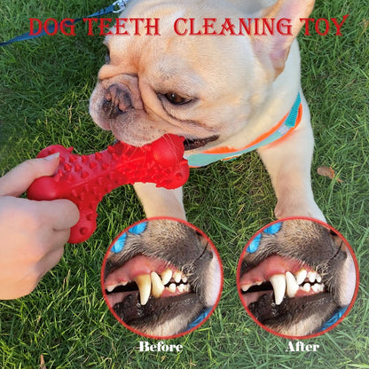 Dog Chew Toys for Aggressive Chewers Large Breed,Rubber Dog Bones