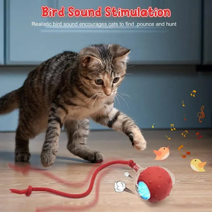 SPOVEN Cat&Dog Toy - Interactive USB Rechargeable Ball Toy on Rug , Anti-Depression Fun Gift for Cats & Dogs
