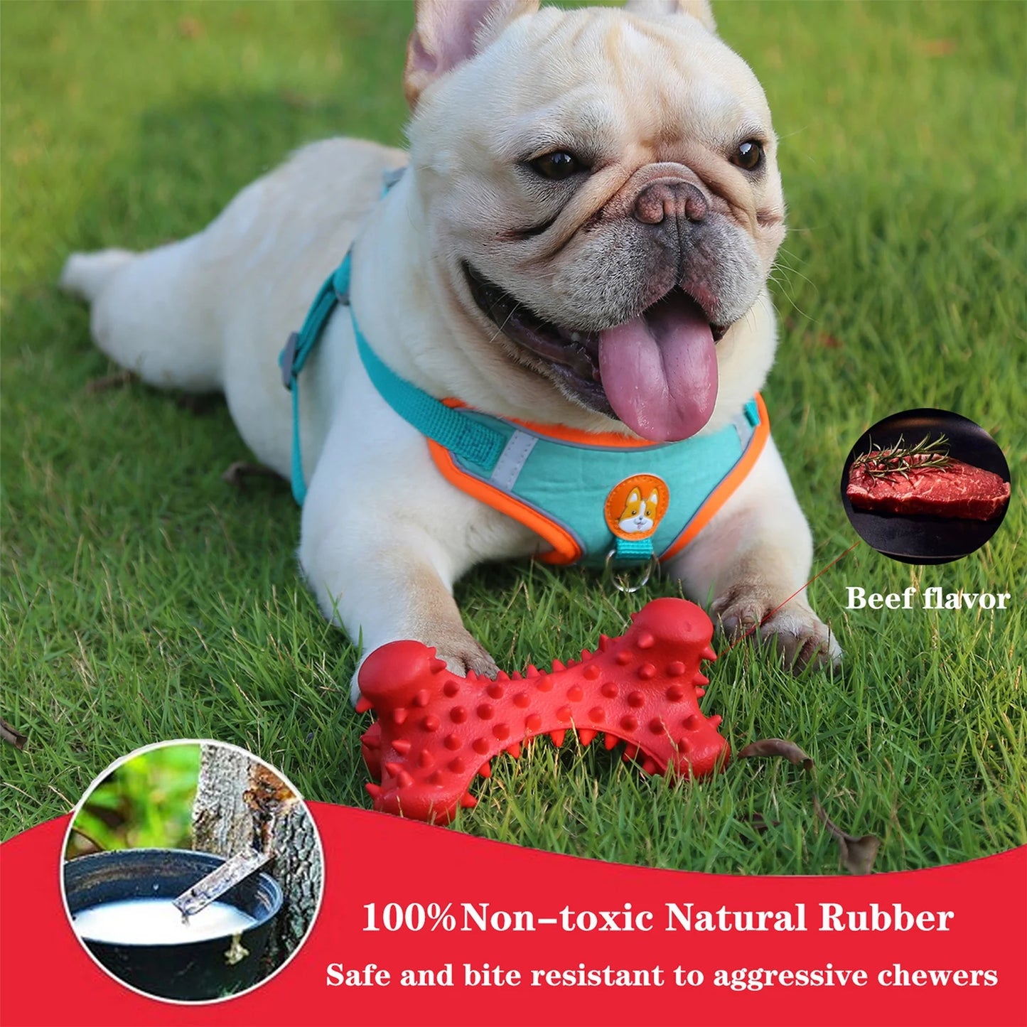 Dog Chew Toys for Aggressive Chewers Large Breed,Rubber Dog Bones