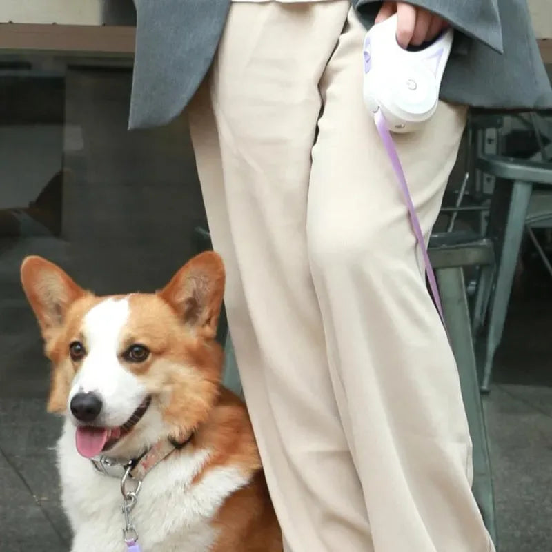 Retractable Dog Leash with LED Flashlight for Pet Walking - Automatic Control for Small to Large Dogs up to 110 Lbs