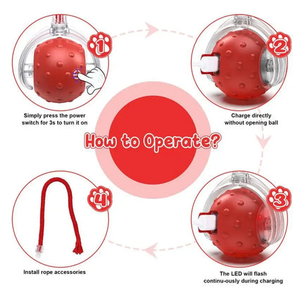 SPOVEN Cat&Dog Toy - Interactive USB Rechargeable Ball Toy on Rug , Anti-Depression Fun Gift for Cats & Dogs