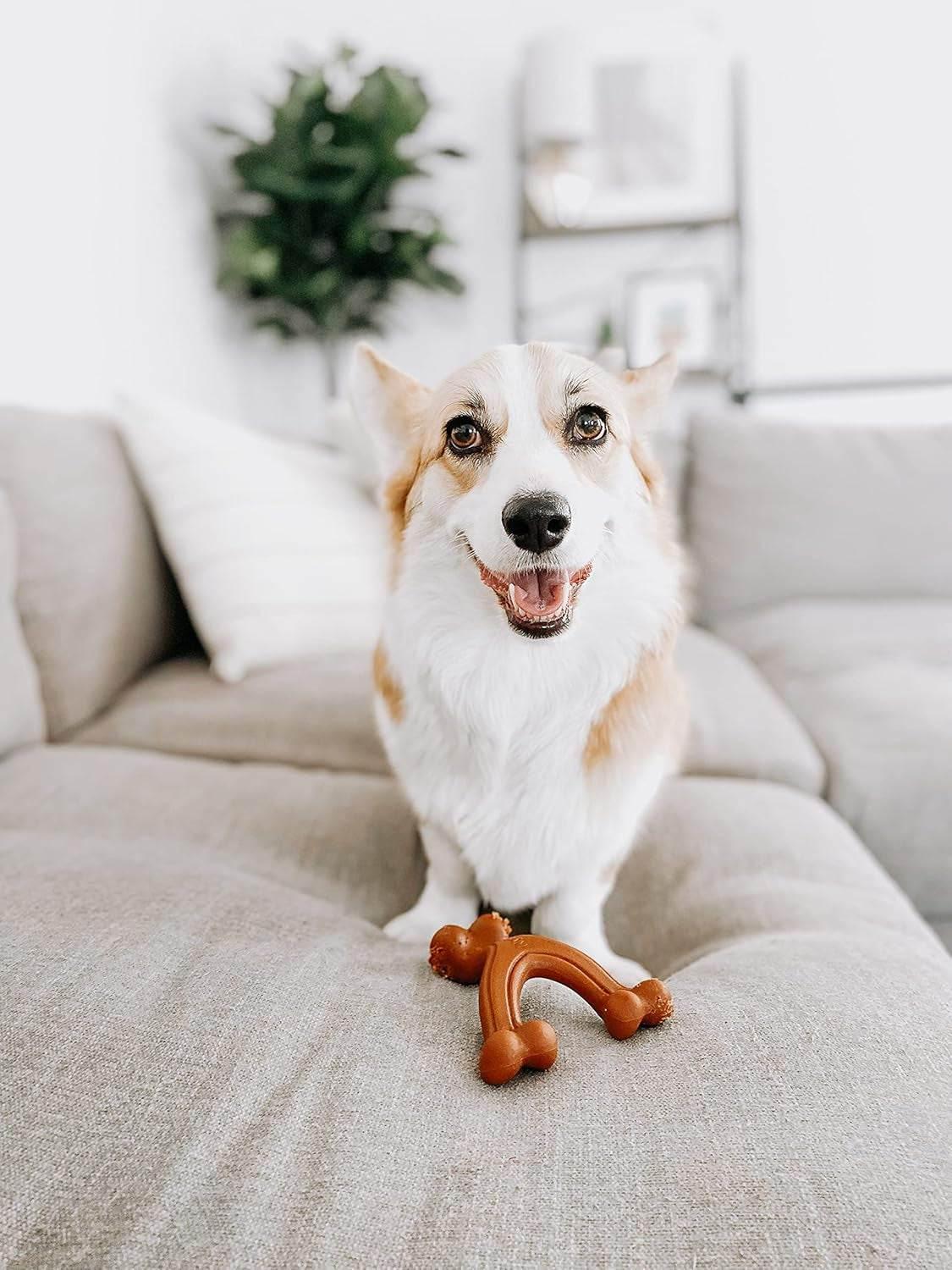 Ergonomic Hold Wishbone Power Chew Toy for Dogs, Dog Toys for Aggressive Chewers, Bison Flavor, Small - up to 25 Ibs, 1 Count