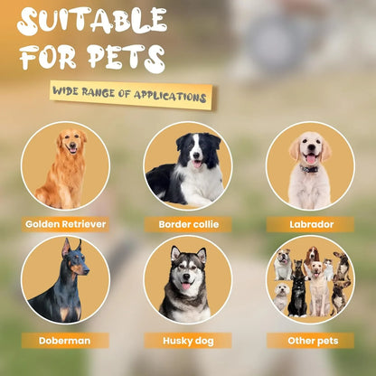 Heavy-Duty Retractable LED Dog Leash with Flashlight (16 ft, Up to 110 lbs)