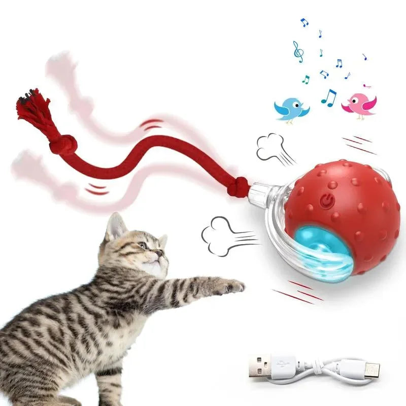 SPOVEN Cat&Dog Toy - Interactive USB Rechargeable Ball Toy on Rug , Anti-Depression Fun Gift for Cats & Dogs