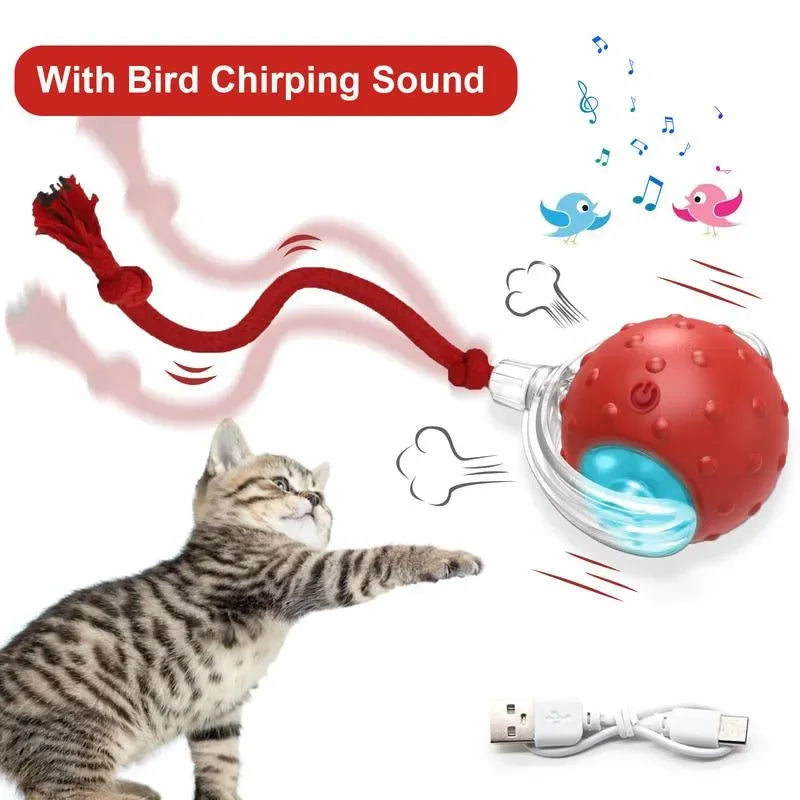 SPOVEN Cat&Dog Toy - Interactive USB Rechargeable Ball Toy on Rug , Anti-Depression Fun Gift for Cats & Dogs