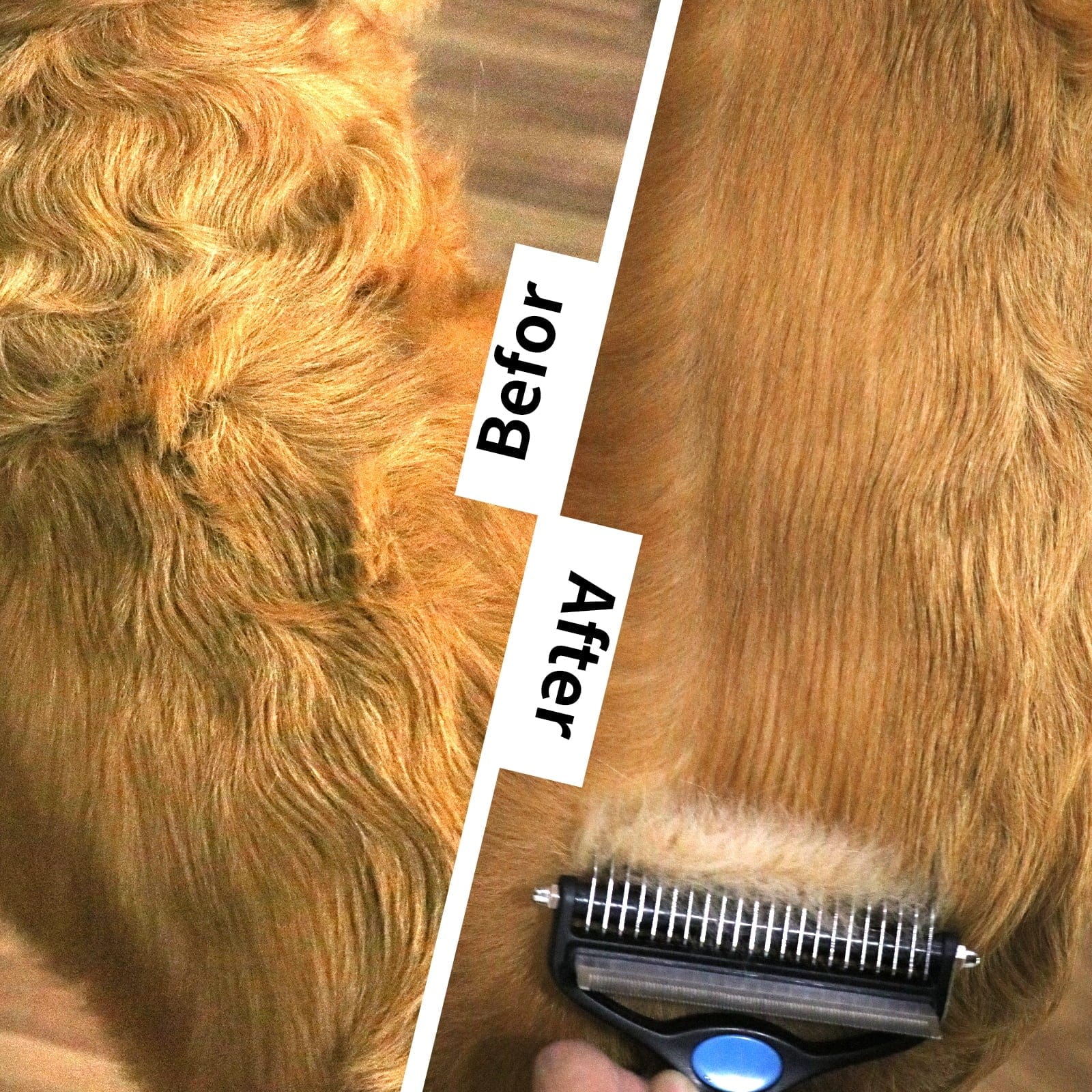 Pet Grooming Brush, 2 in 1 Deshedding Tool & Undercoat Rake Dematting Comb for Small Meduim Large Cats and Dogs