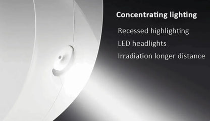 Heavy-Duty Retractable LED Dog Leash with Flashlight (16 ft, Up to 110 lbs)