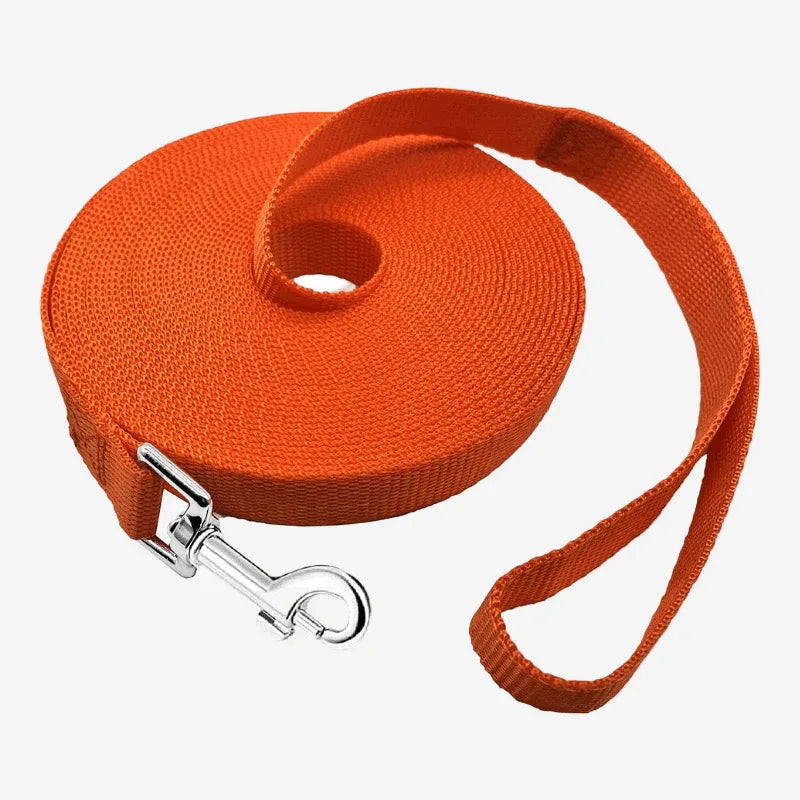 20-ft Dog Training Lead Recall & Obedience Leash (Orange)