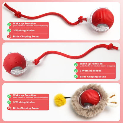 SPOVEN Cat&Dog Toy - Interactive USB Rechargeable Ball Toy on Rug , Anti-Depression Fun Gift for Cats & Dogs
