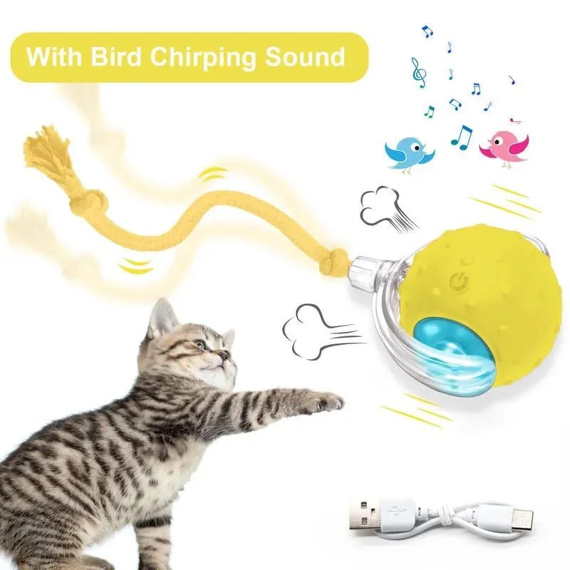 SPOVEN Cat&Dog Toy - Interactive USB Rechargeable Ball Toy on Rug , Anti-Depression Fun Gift for Cats & Dogs