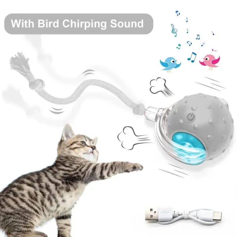 SPOVEN Cat&Dog Toy - Interactive USB Rechargeable Ball Toy on Rug , Anti-Depression Fun Gift for Cats & Dogs
