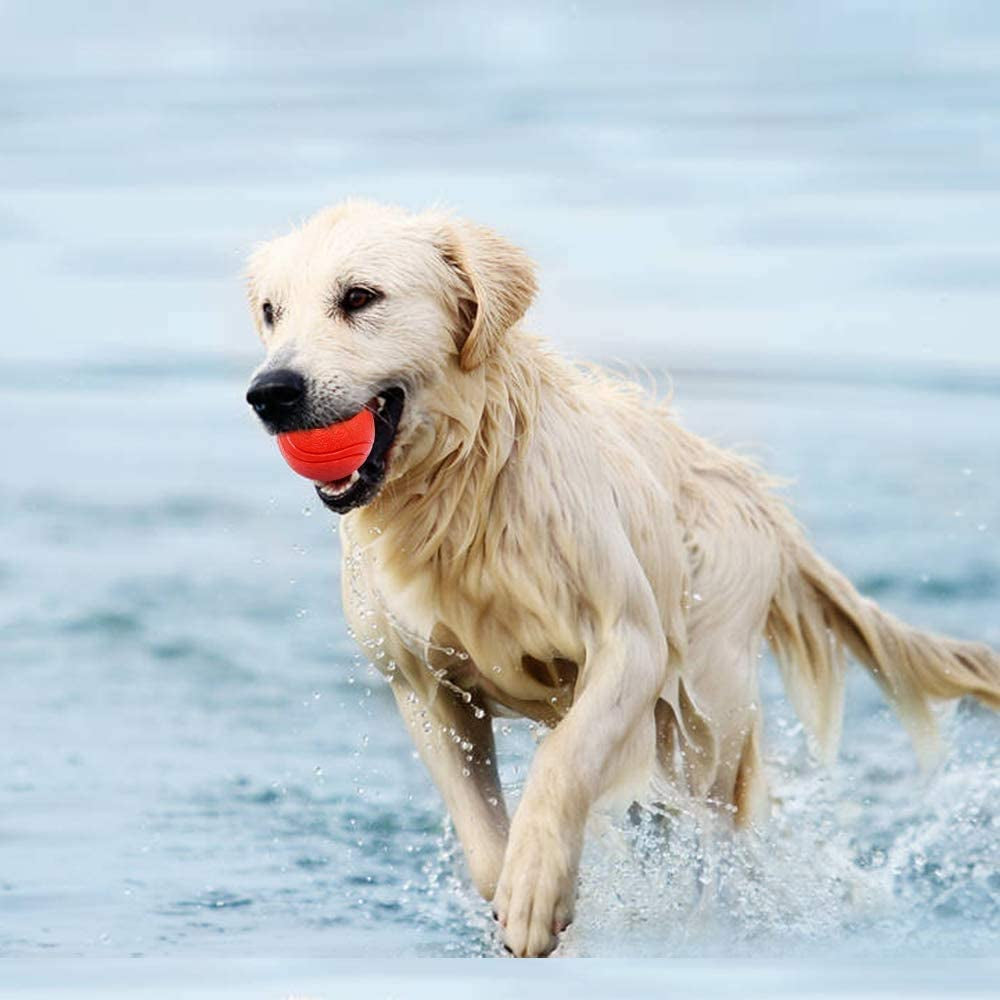 Hard Rubber Balls for Dogs,Dog'S Solid Rubber Bouncy Ball Bite Resistant and Indestructible Dog Training Ball,Dog Balls for Aggressive Chewers