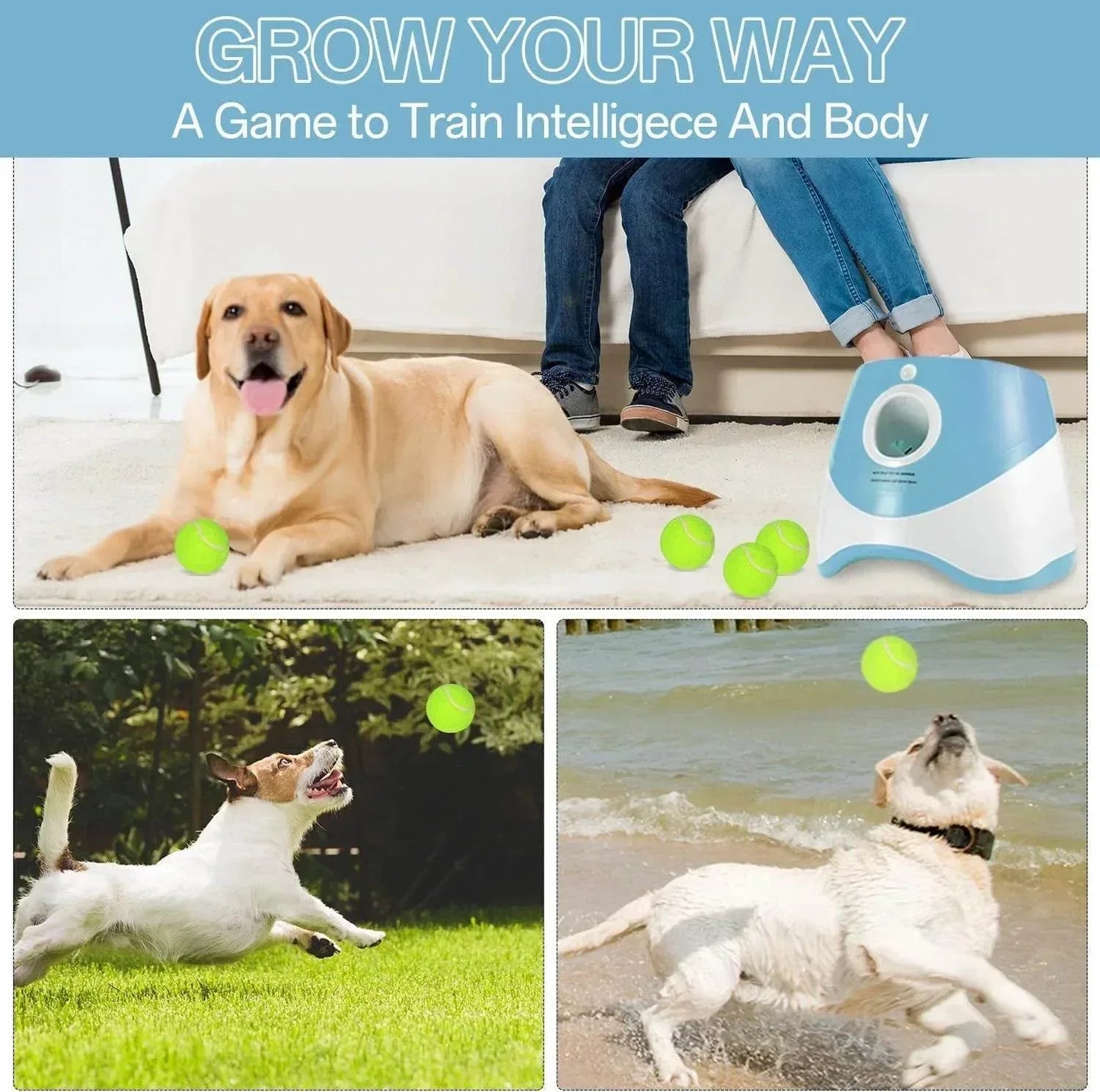 Ball Thrower for Dogs,Interactive Dog Fetch Machine,Automatic Tennis Ball Launcher with 12 Tennis Balls,Dog Ball Thrower Machine with 10-30Ft 3 Launching Distance,For Small Dogs Indoor & Outdoor