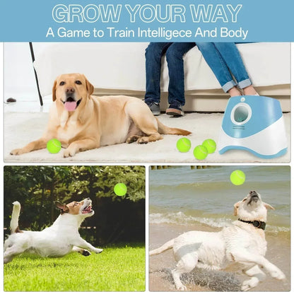 Ball Thrower for Dogs,Interactive Dog Fetch Machine,Automatic Tennis Ball Launcher with 12 Tennis Balls,Dog Ball Thrower Machine with 10-30Ft 3 Launching Distance,For Small Dogs Indoor & Outdoor