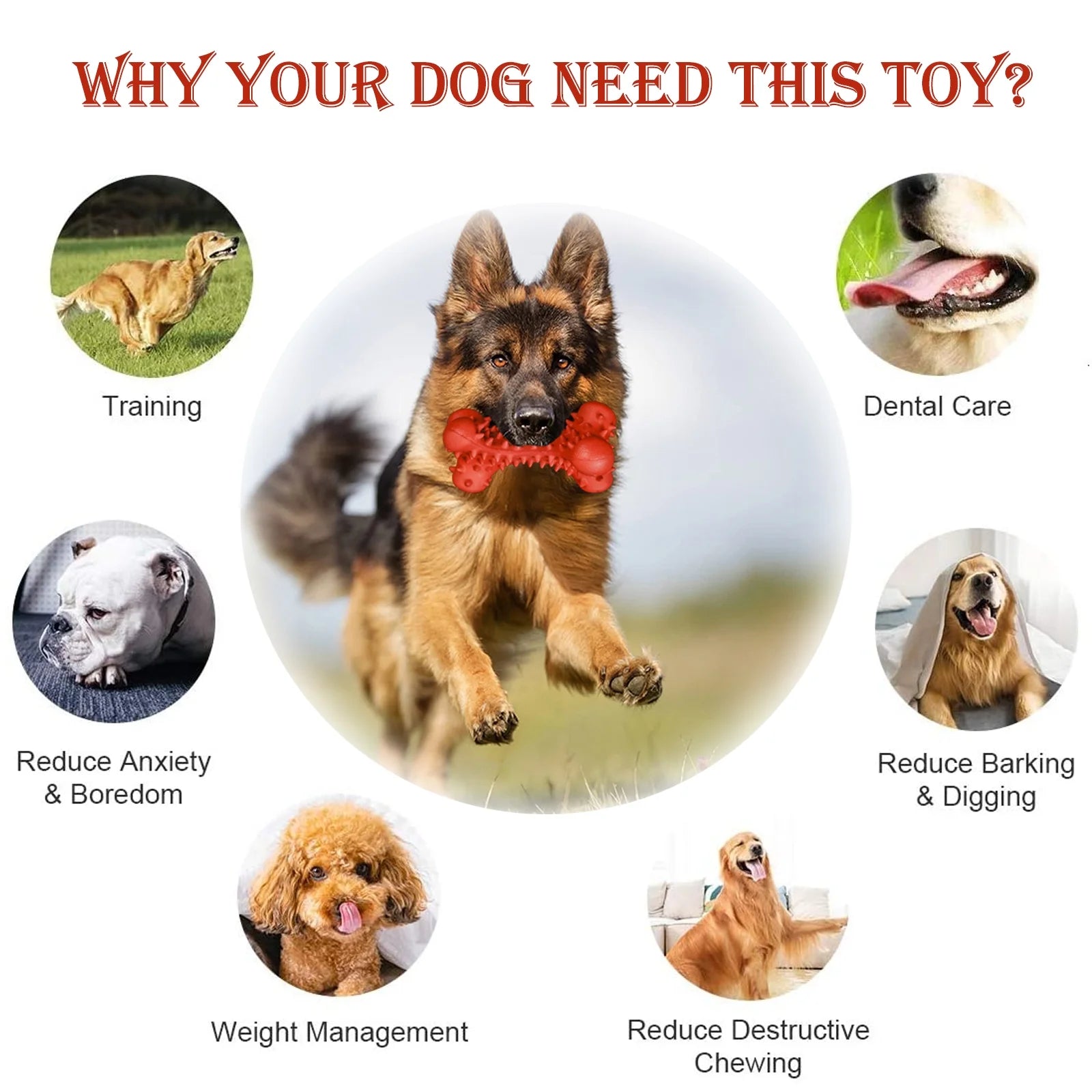 Dog Chew Toys for Aggressive Chewers Large Breed,Rubber Dog Bones