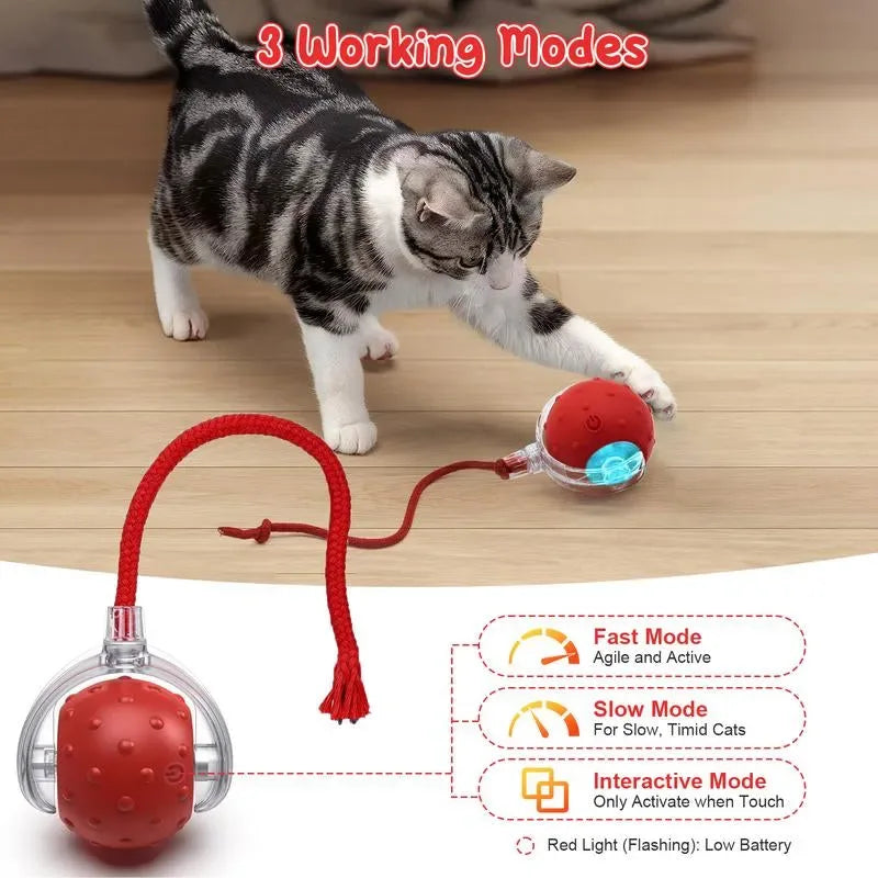 SPOVEN Cat&Dog Toy - Interactive USB Rechargeable Ball Toy on Rug , Anti-Depression Fun Gift for Cats & Dogs