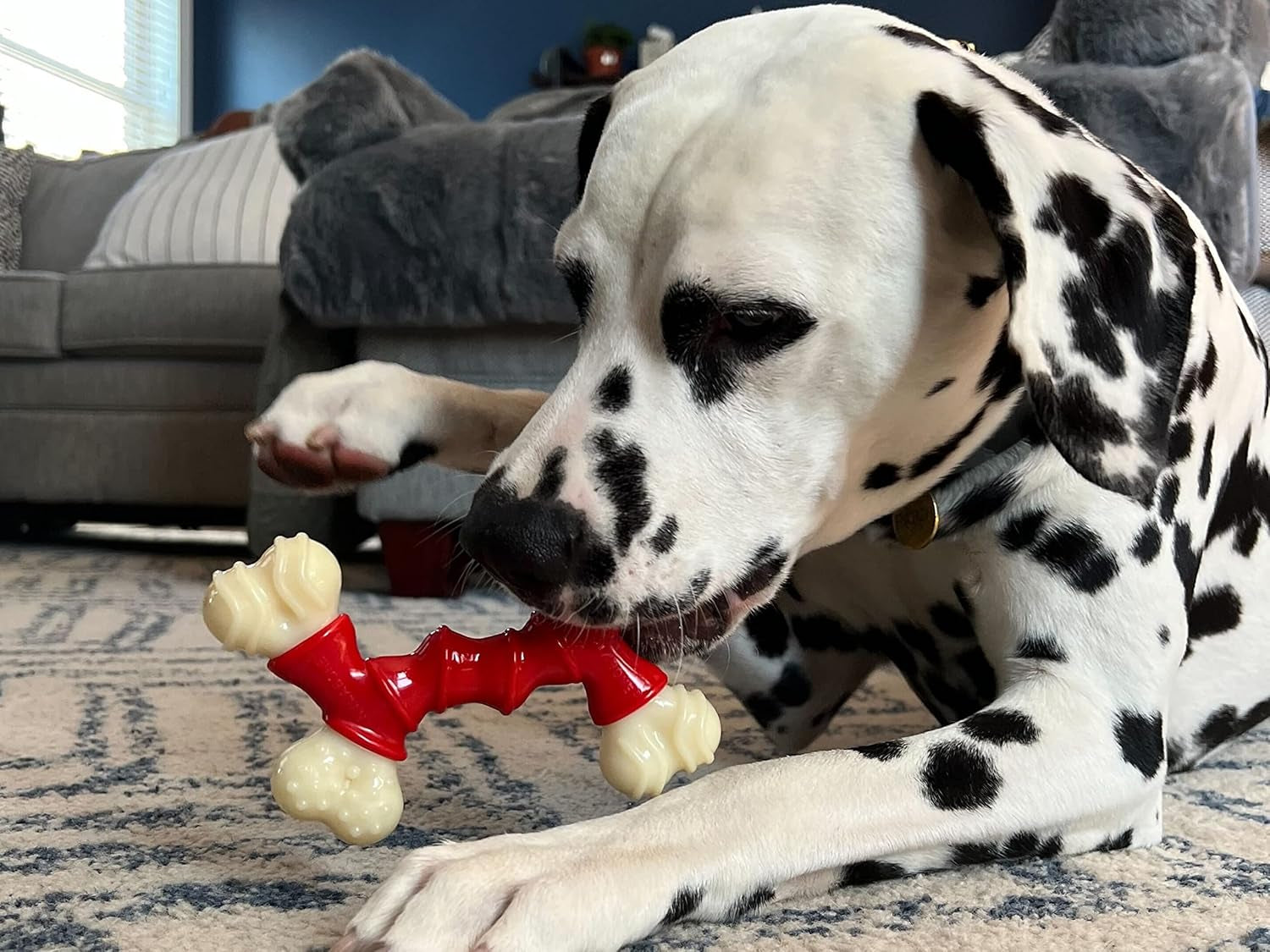 Double Bone Power Chew Toy for Dogs, Dog Toys for Aggressive Chewers, Bacon Flavor, Medium - up to 35 Lbs, 1 Count