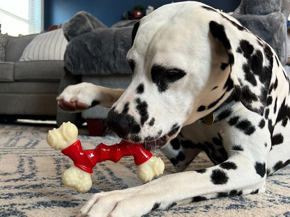 Double Bone Power Chew Toy for Dogs, Dog Toys for Aggressive Chewers, Bacon Flavor, Medium - up to 35 Lbs, 1 Count