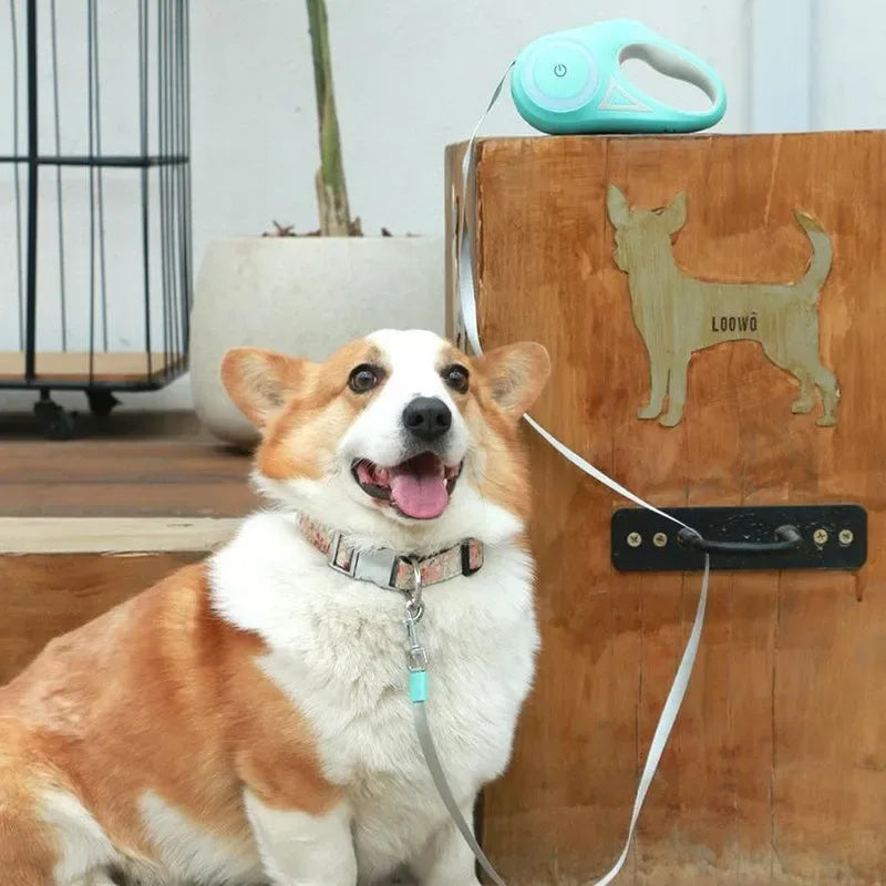 Retractable Dog Leash with LED Flashlight for Pet Walking - Automatic Control for Small to Large Dogs up to 110 Lbs